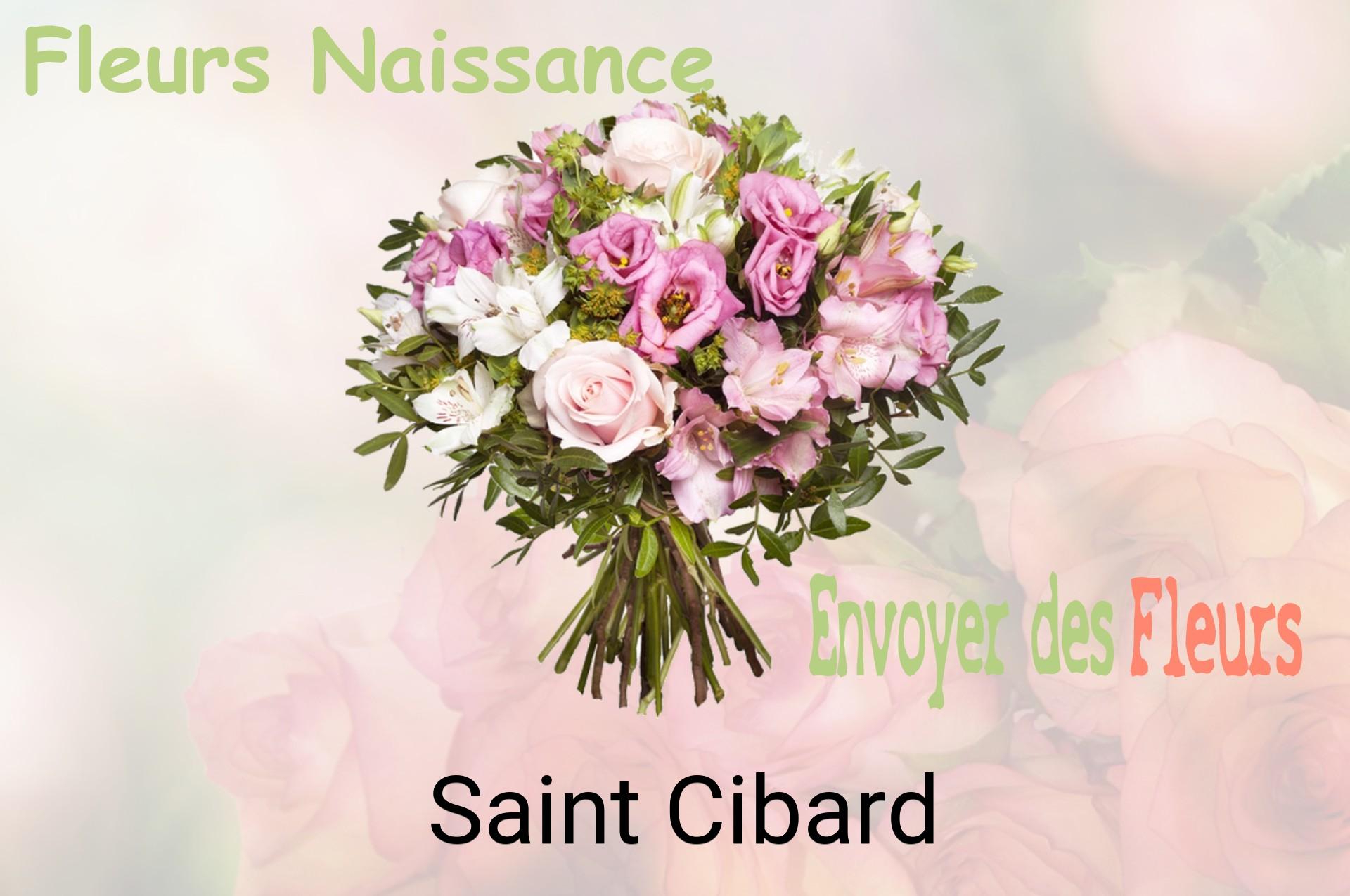 Bouquet de fleurs de naissance livré à Saint-Cibard